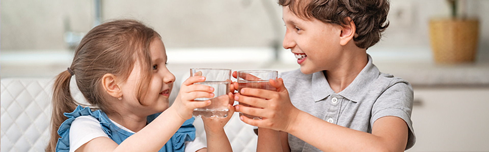 WHS-water-filter-auto-delivery.jpg
